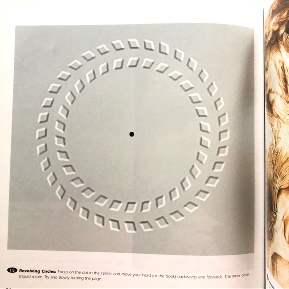 MORE OPTICAL ILLUSIONS book - Picture 8 of 16